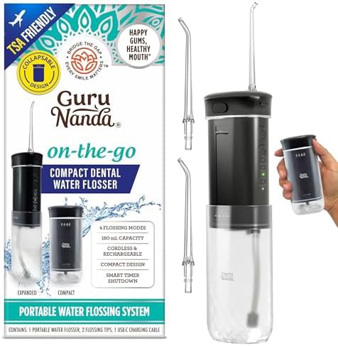 Portable cordless travel flosser with four modes