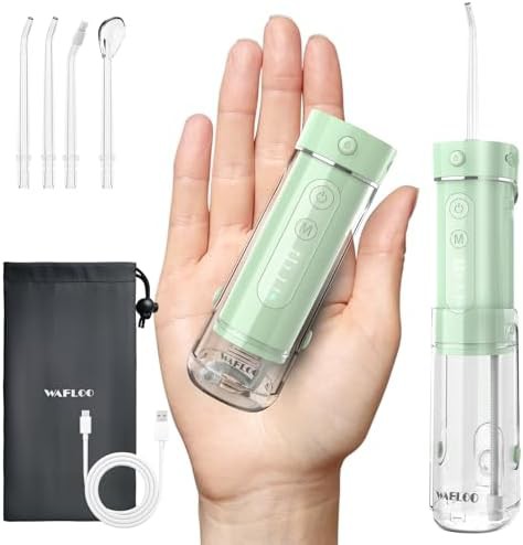 Portable mini flosser with five settings